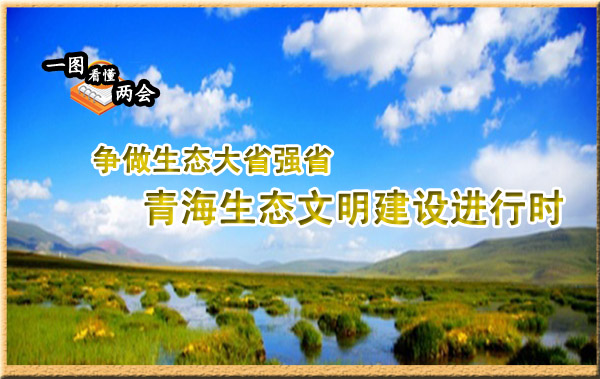 一圖看懂兩會：青海生態(tài)文明建設(shè)進行時