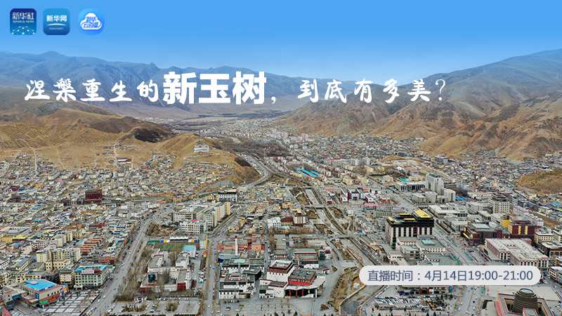 涅槃重生的新玉樹(shù)，到底有多美？