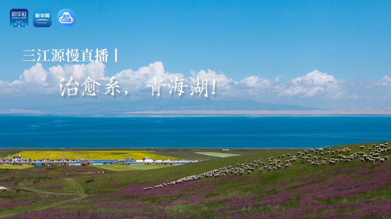 三江源慢直播丨治愈系，青海湖！