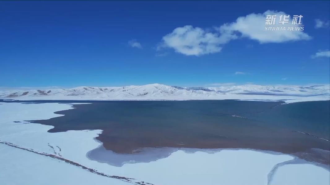 青?，敹啵憾喾N珍稀野生動物亮相黃河源頭